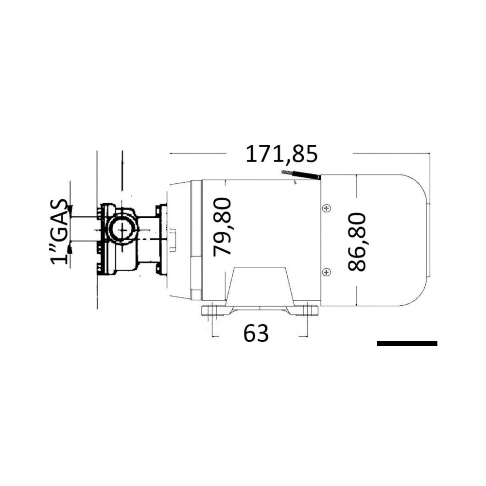 Self-Priming professional bilge pump