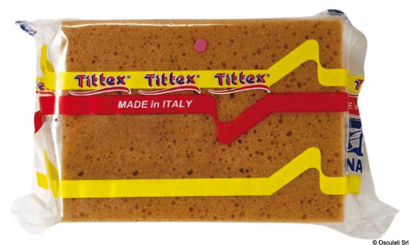 Erittäin imukykyinen sieni