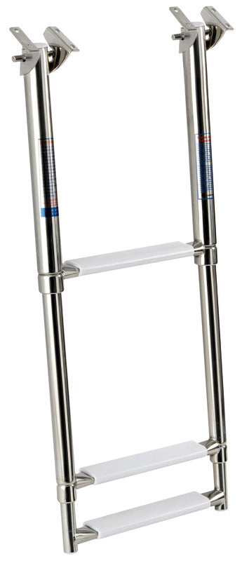 Telescopic ladder for fixing under the gangplank