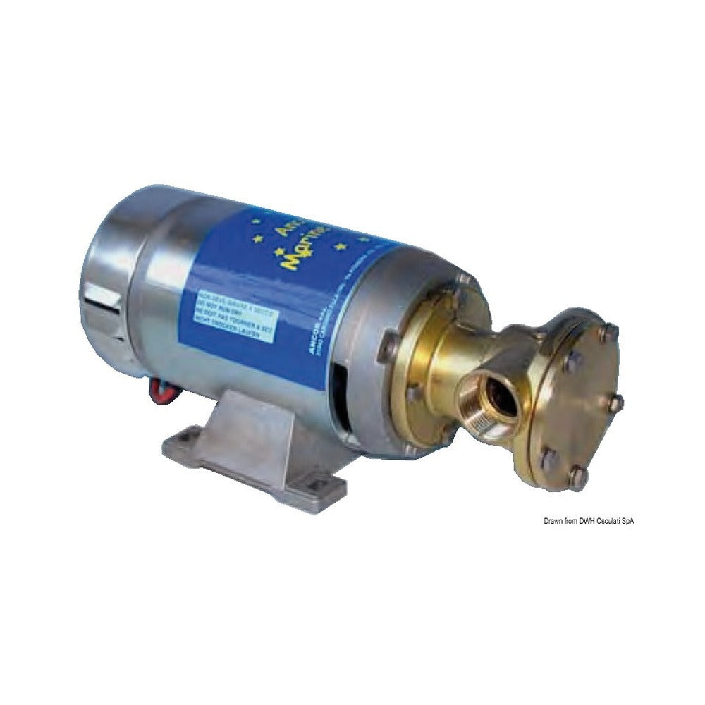 Self-Priming professional bilge pump