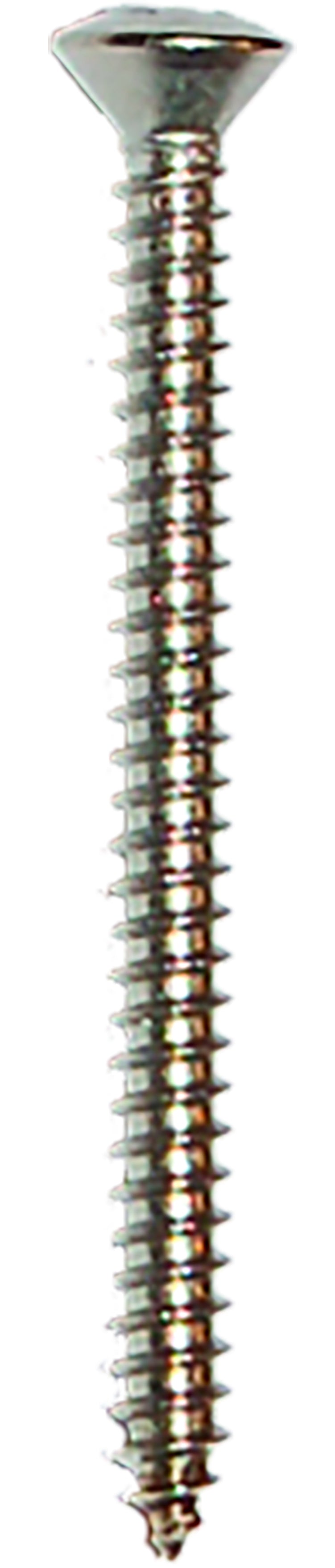 Raised Countersunk Self-Tapping Screw DIN 7983 – AISI 316 Stainless Steel