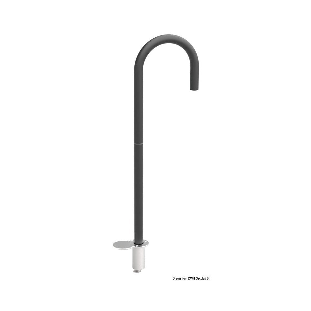 Removable and detachable boarding assistance pole