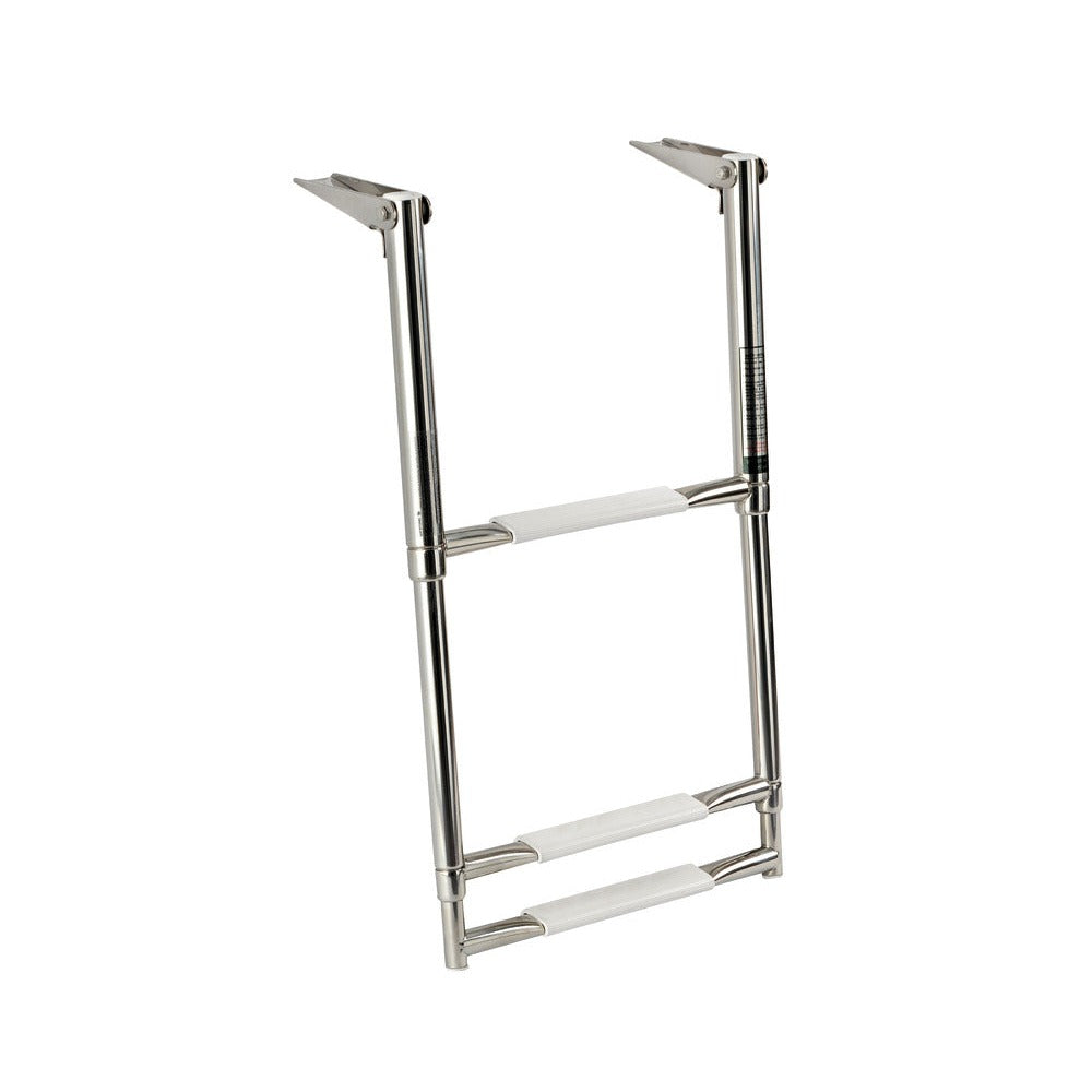 Telescopic ladder for gangplank