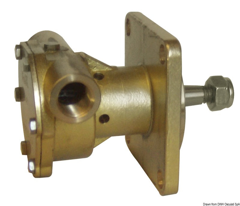 NAUCO 324485-type pump