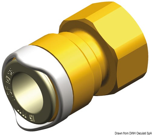 WHALE BSP 1/2" naarasliitin (messinki)