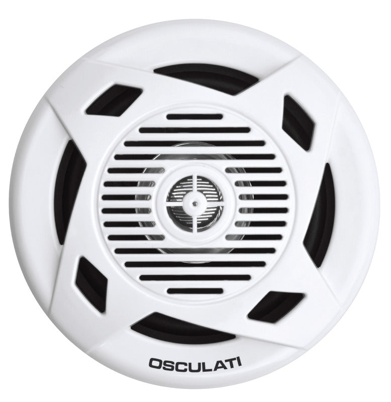 Pair of dual cone speakers