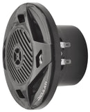 Pair of dual cone speakers