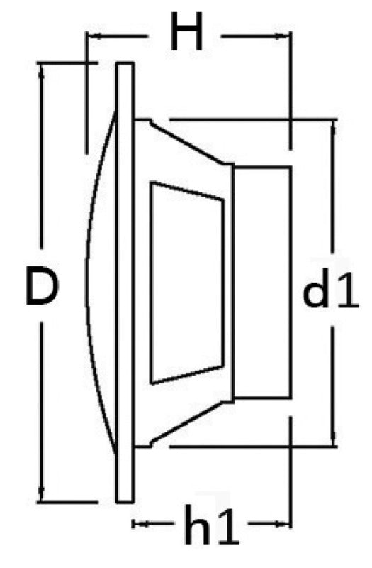 Pair of dual cone speakers