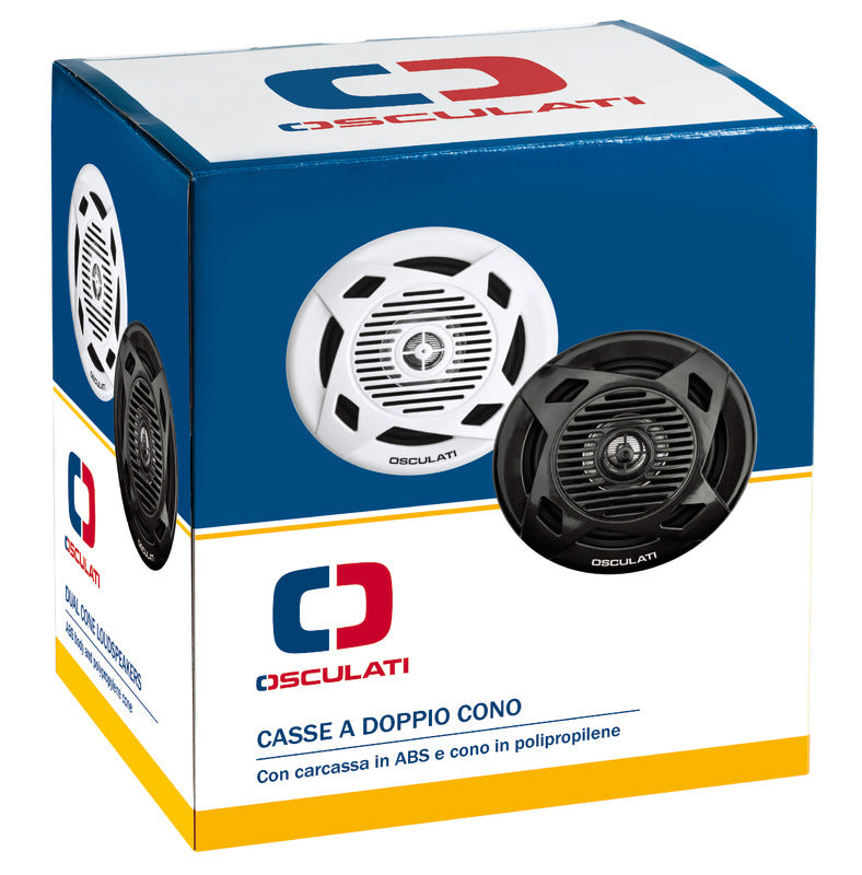 Pair of dual cone speakers