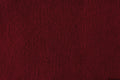 Skärmskydd F1 claret
