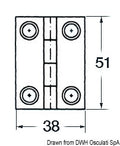 51x38 mm