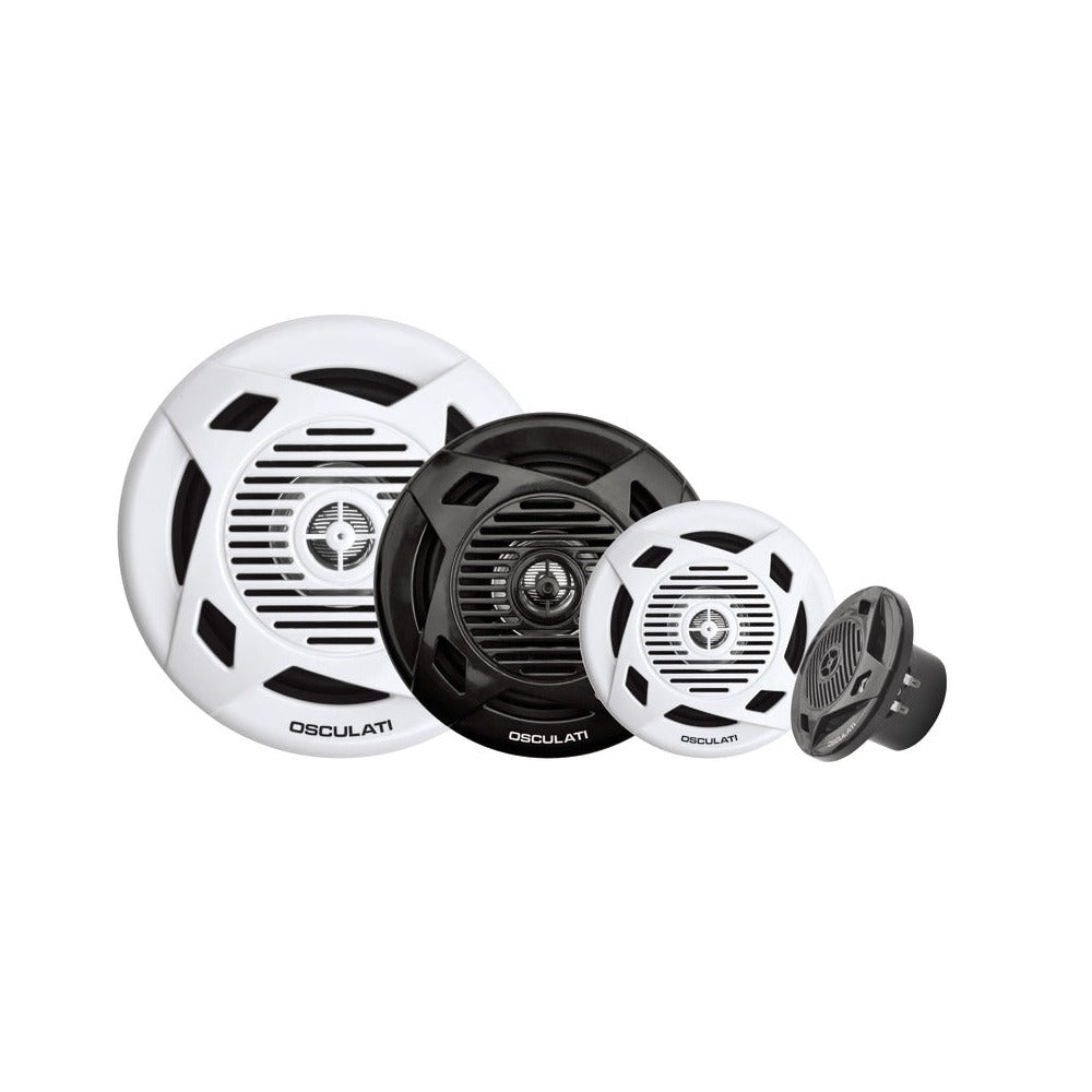 Pair of dual cone speakers