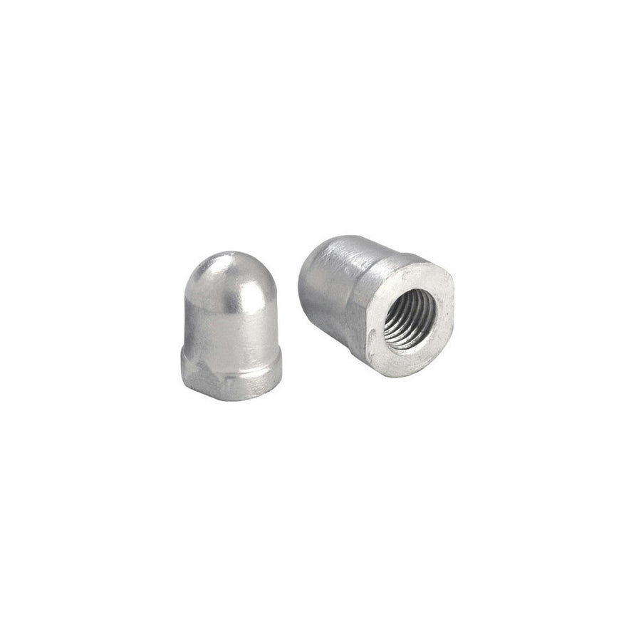 Akselmutter for Renault 40 mm
