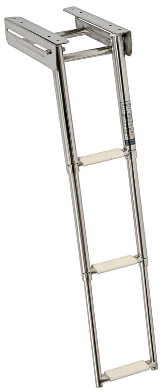 Hidden telescopic ladder