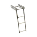 Hidden telescopic ladder