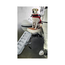 Paws Up doggy ramp