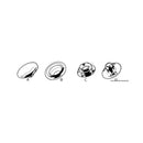 Nickel-plated brass snap buttons and AISI 316 stee