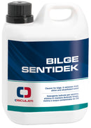 Bilge Sentidek cleaner