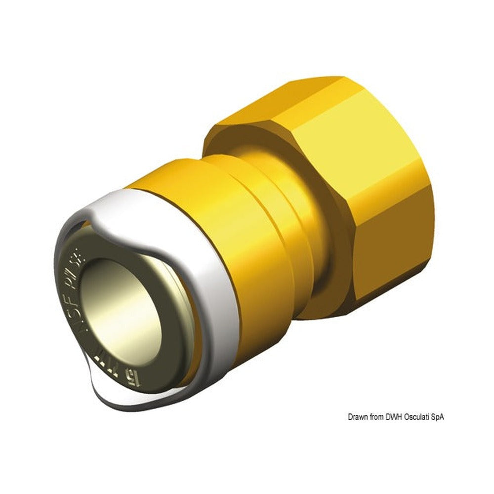 WHALE BSP 1/2" female adapter (brass)