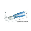 Faston terminals, pre-insulated watertight heat-sh