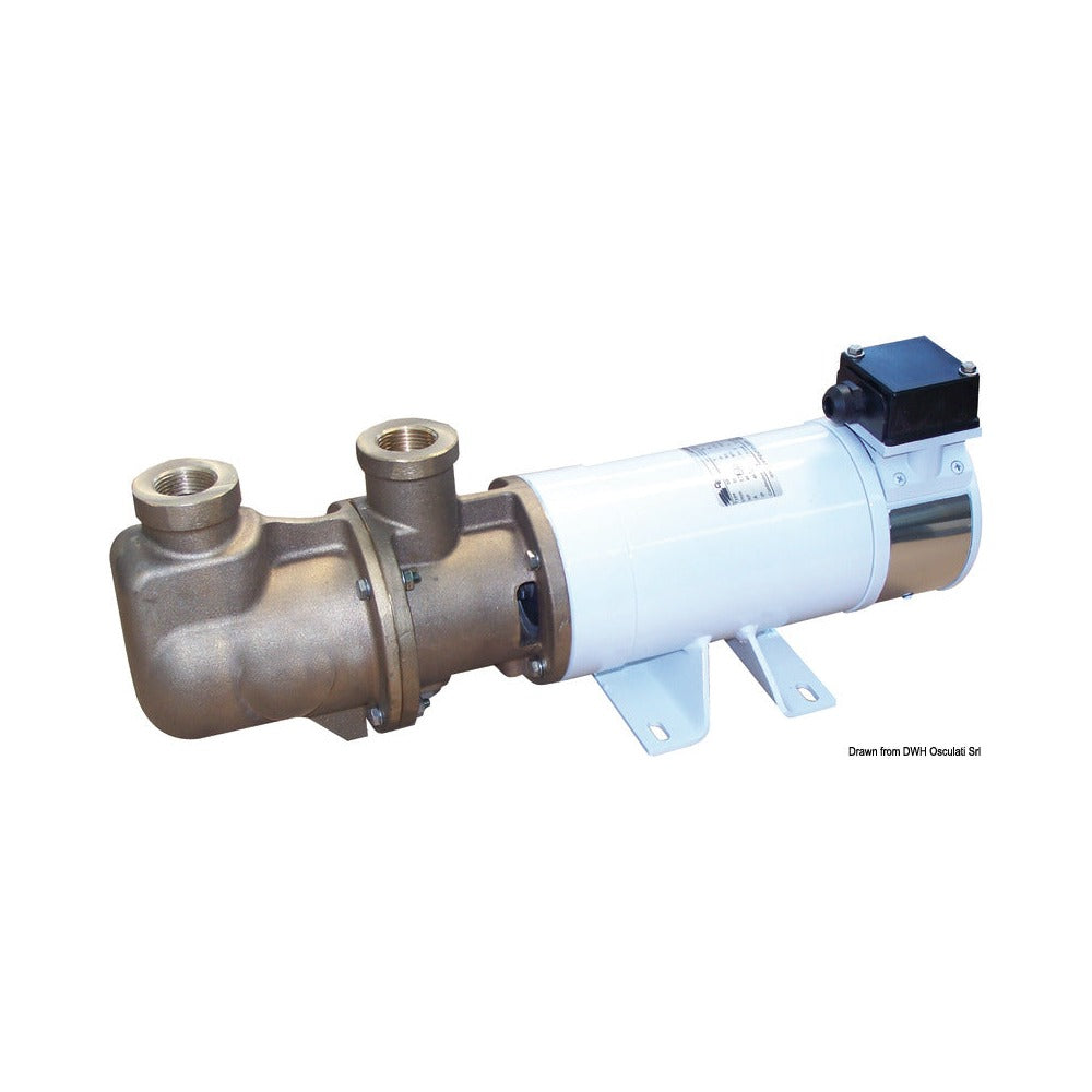 CEM SBR Self-priming Single-screw Pump in Bronze