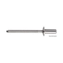 Stainless steel rivet, normal head