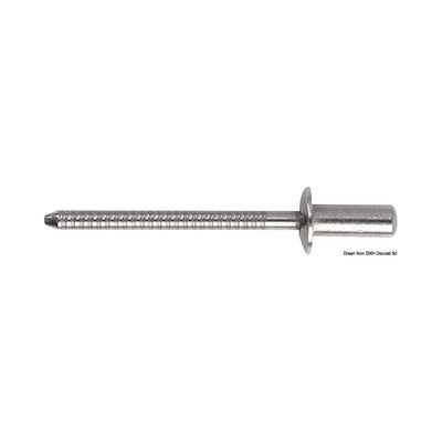 Stainless steel rivet, normal head