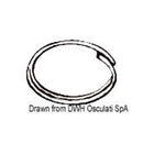 Stainless steel ring