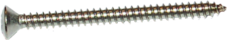 Raised Countersunk Self-Tapping Screw DIN 7983 – AISI 316 Stainless Steel
